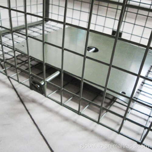 China Double Door Live Animal Wire Trap Cage Supplier